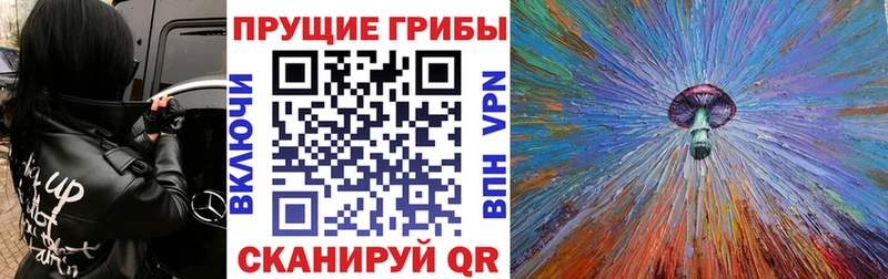 дарк нет формула  Полтавская  Галлюциногенные грибы Magic Shrooms 